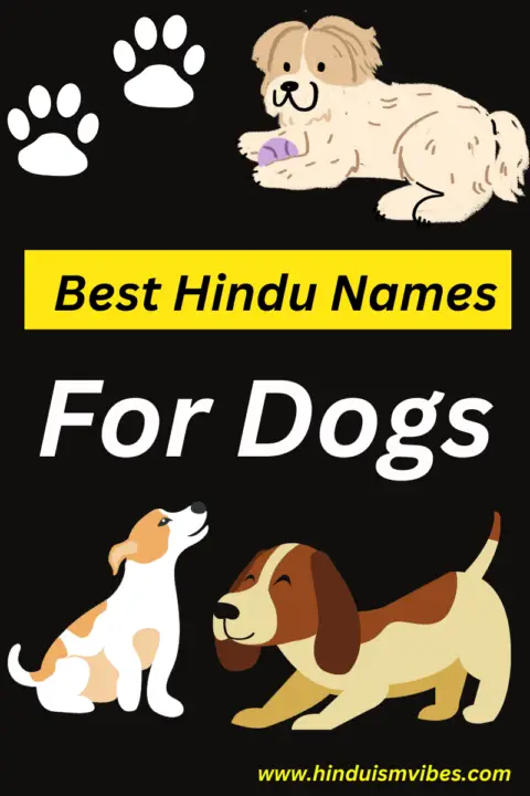 111-best-hindu-names-for-dogs