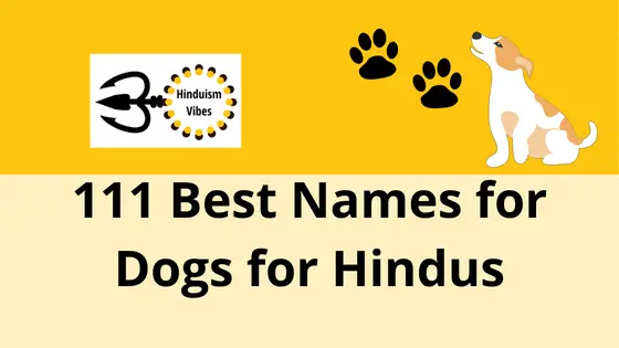 111 Best Hindu Names For Dogs